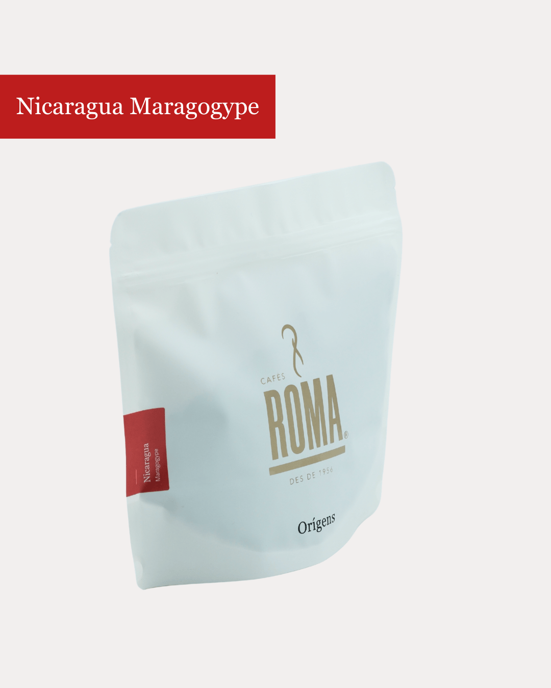 NICARAGUA MARAGOGYPE
