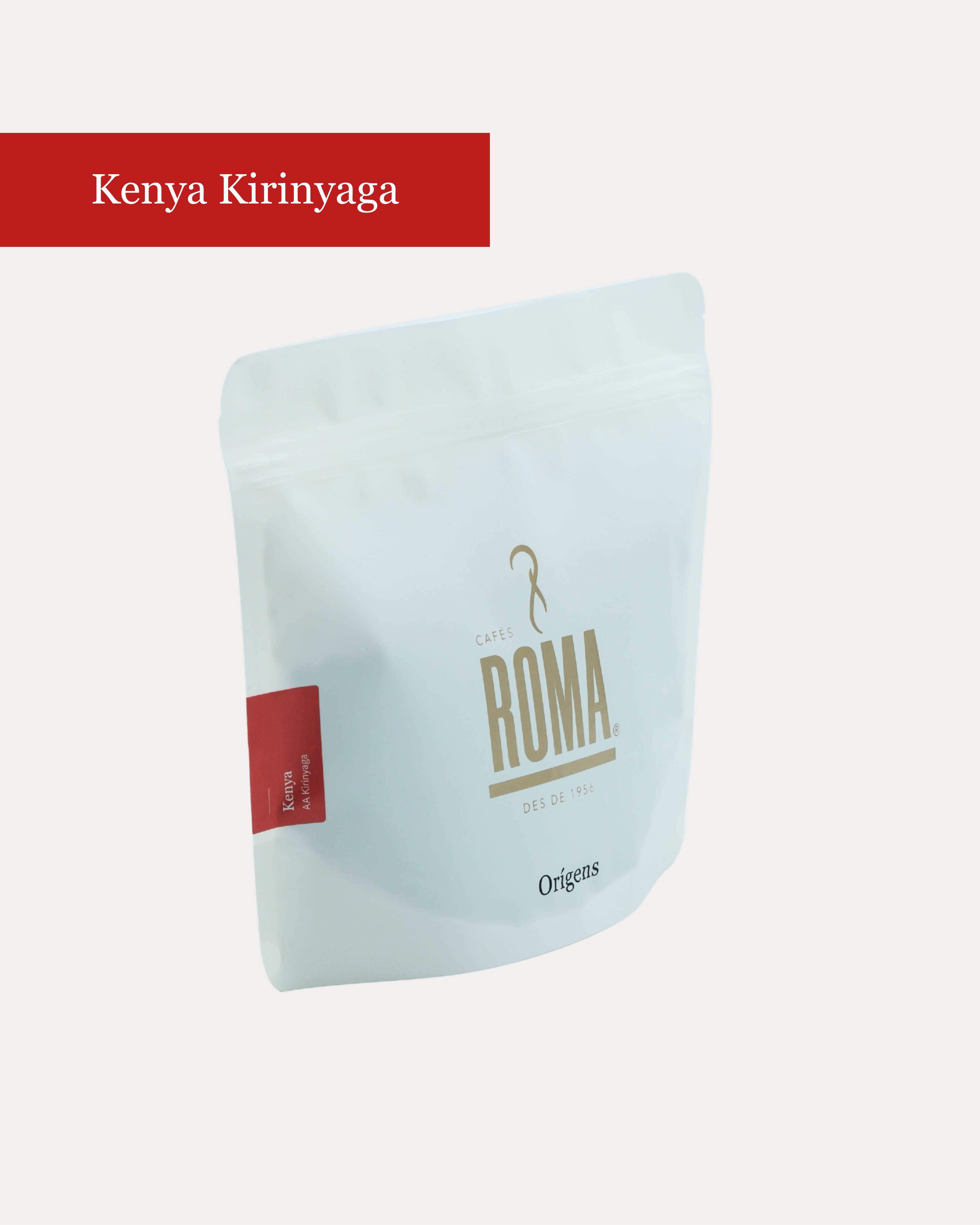 KENYA IN KIRINYAGA