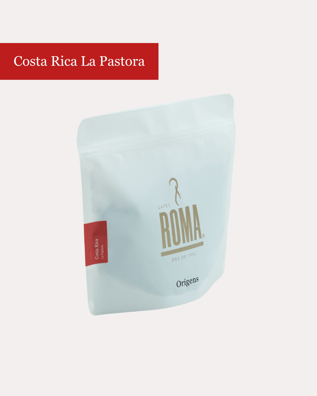 COSTA RICA LA PASTORA